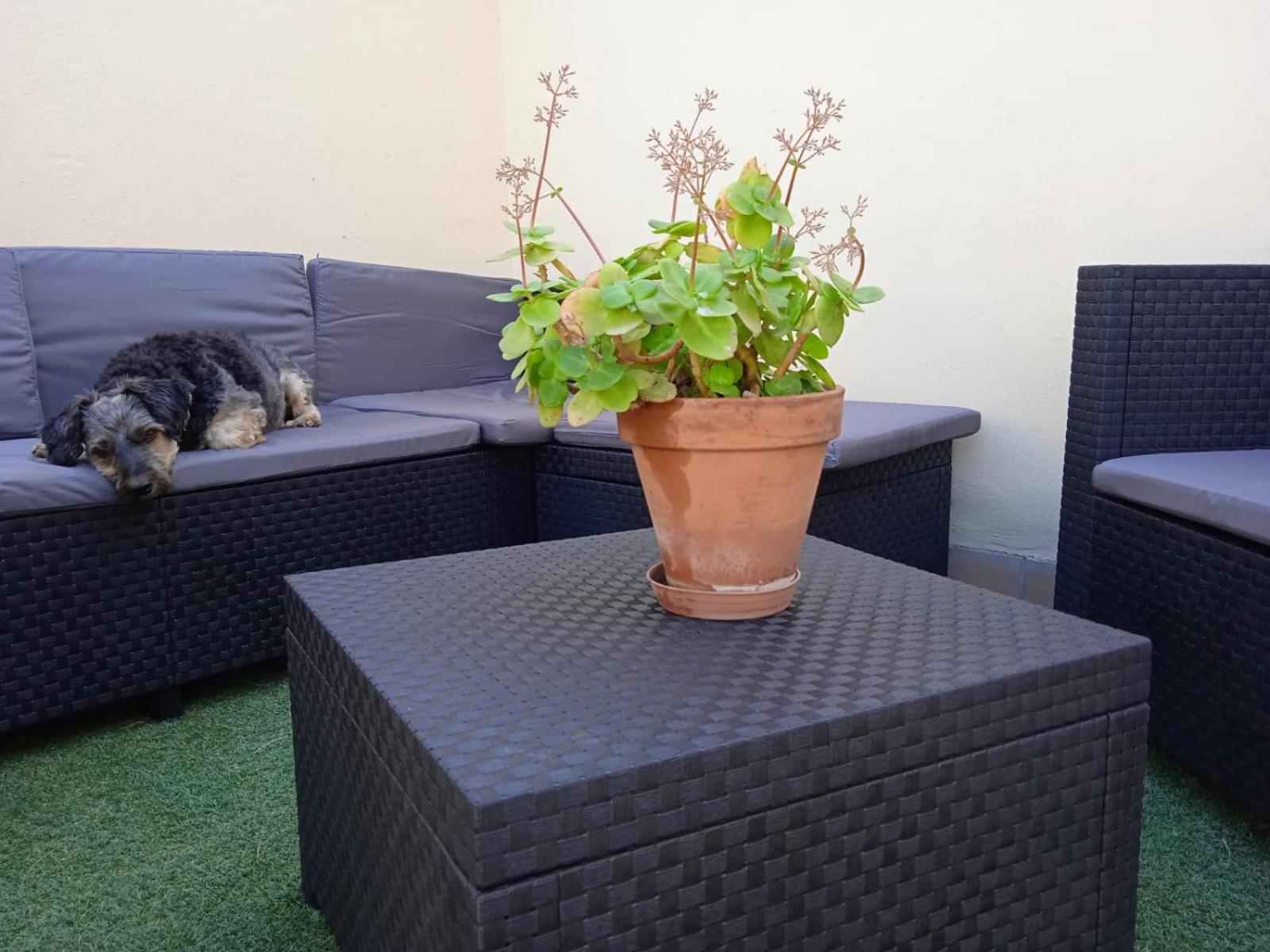 Livingtarifa Apartamento Nano Kültér fotó
